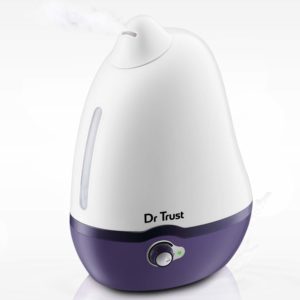 Home Spa Luxury Cool Mist Dolphin Humidifier
