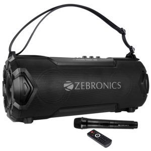 Zebronics Zeb-sound feast 100
